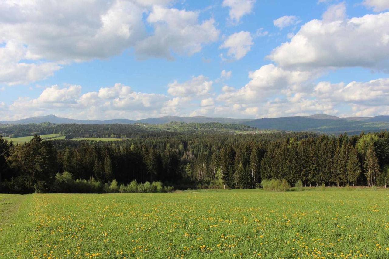 Landhotel Kleblmuehle Grafenau  Dış mekan fotoğraf